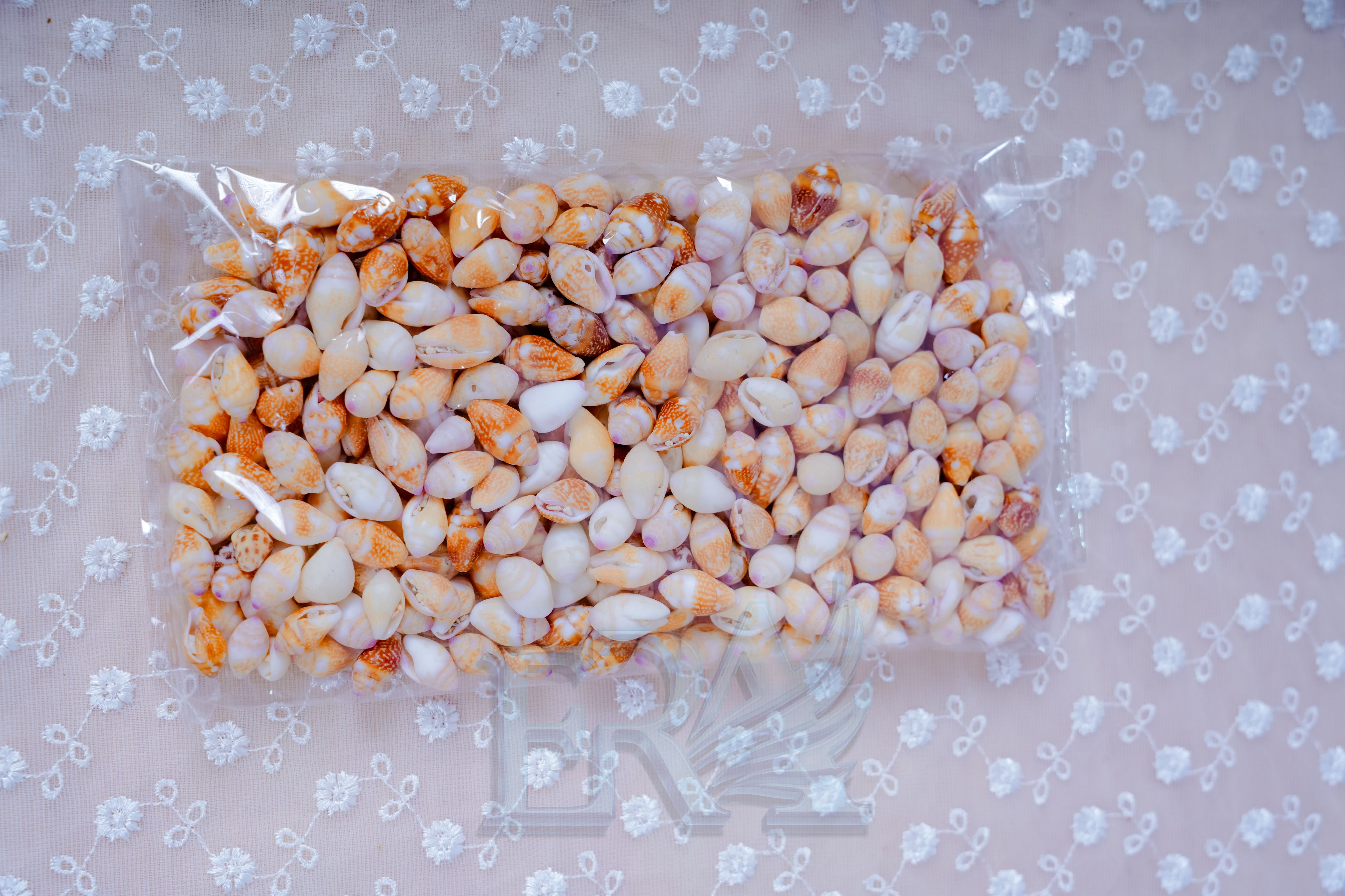 Vỏ Ốc Mini 00021 100g
